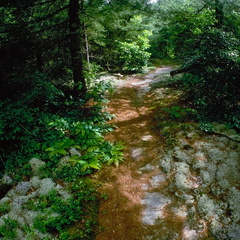 Big South Fork country